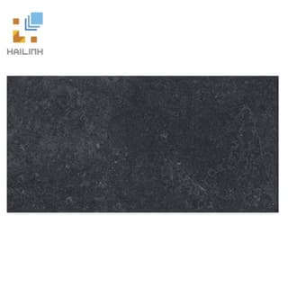 Ảnh Gạch Viglacera PT20-G3604 1