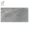 Gạch Viglacera Platinum PT20-G459021 1