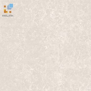 Ảnh Gạch Viglacera TS2 817 1
