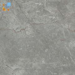 Gạch Viglacera CL-BS3304
