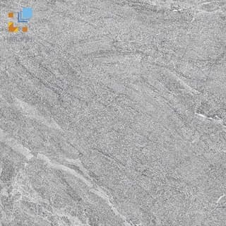 Ảnh Gạch Viglacera CL20-3303 1