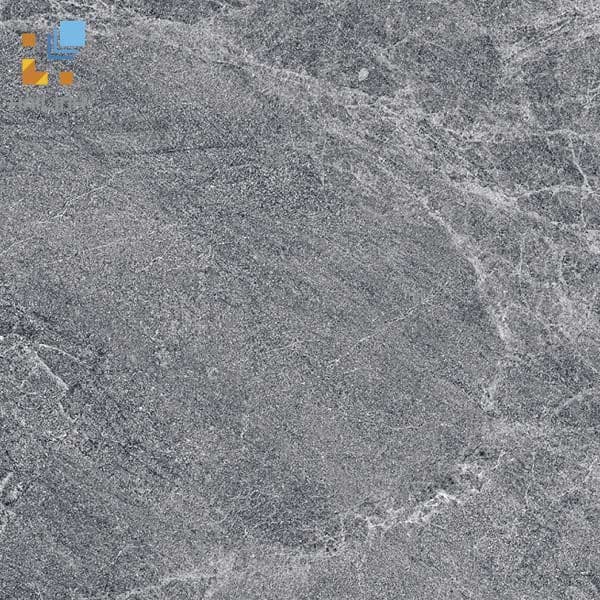 Gạch Viglacera CL20-3304