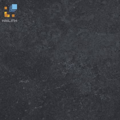 Gạch Viglacera PT20-G6604