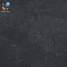 Gạch Viglacera PT20-G6604 1