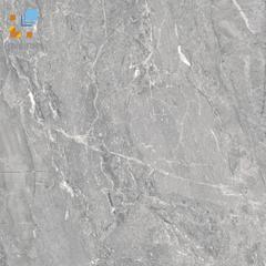 Ảnh Gạch Viglacera CL-GP609 1