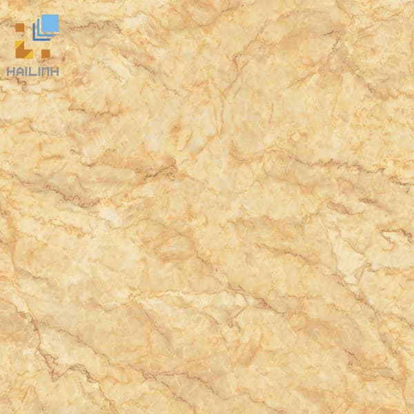 Gạch Viglacera CL-GP6605