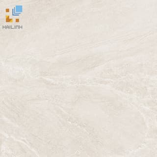Ảnh Gạch Viglacera CL20-6601 1