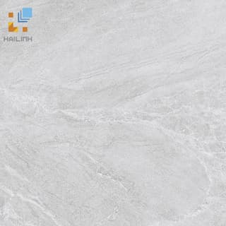 Ảnh Gạch Viglacera CL20-6602 1