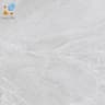 Gạch Viglacera CL20-6602 1