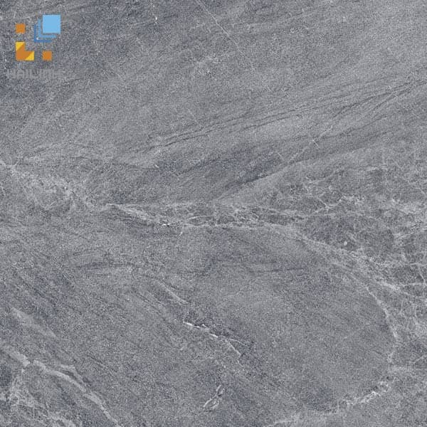 Gạch Viglacera CL20-6604