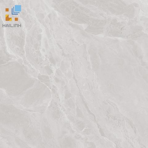 Gạch Viglacera SH-GP601
