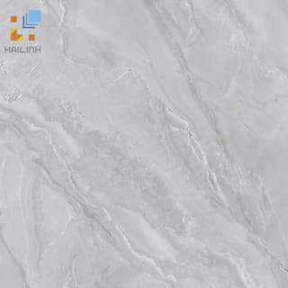 Ảnh Gạch Viglacera SH-GP603 1