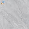 Gạch Viglacera SH-GP603 1