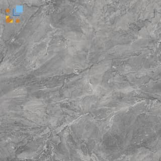 Ảnh Gạch Viglacera SH-GP605 1