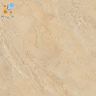 Ảnh Gạch Viglacera SH-GP607 1
