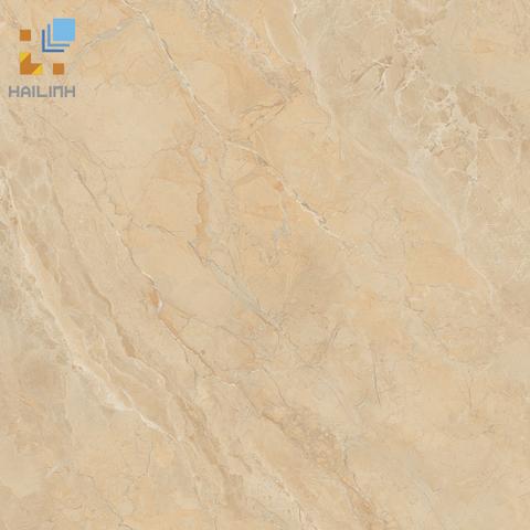 Gạch Viglacera SH-GP607
