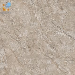 Ảnh Gạch Viglacera CL-GP6606 1