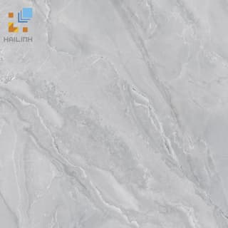 Ảnh Gạch Viglacera SH-GP803 1