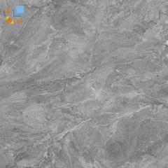 Ảnh Gạch Viglacera SH-GP805 1