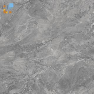 Ảnh Gạch Viglacera SH-GP805 1