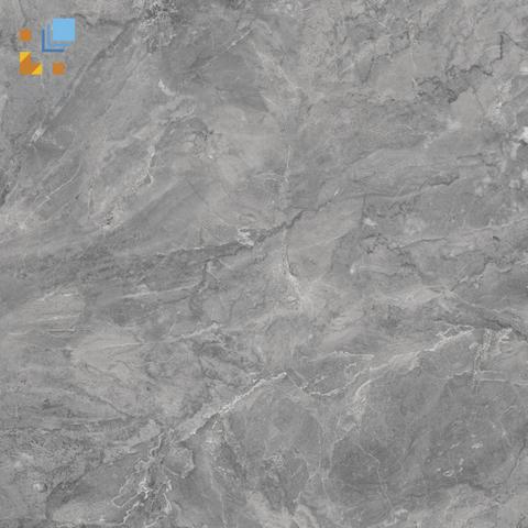 Gạch Viglacera SH-GP805