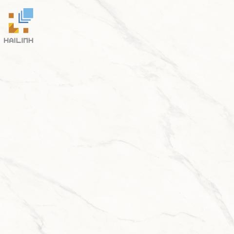 Gạch Viglacera SH-GP806