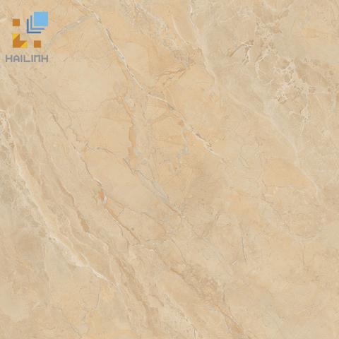 Gạch Viglacera SH-GP807