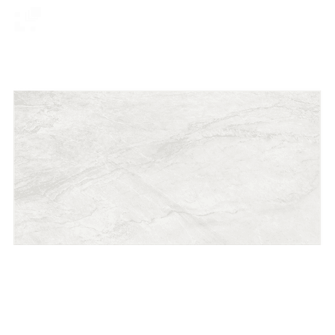 Gạch Viglacera CB-PT61203