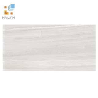 Ảnh Gạch Viglacera CL-GP4809 1