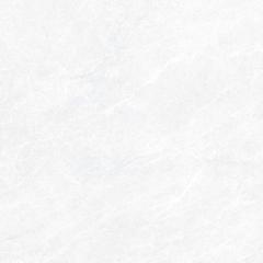 Ảnh Gạch Viglacera CL6-GP8801 1