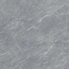 Ảnh Gạch Viglacera CL6-GP8802 1