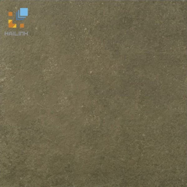 Gạch Viglacera PH 6601