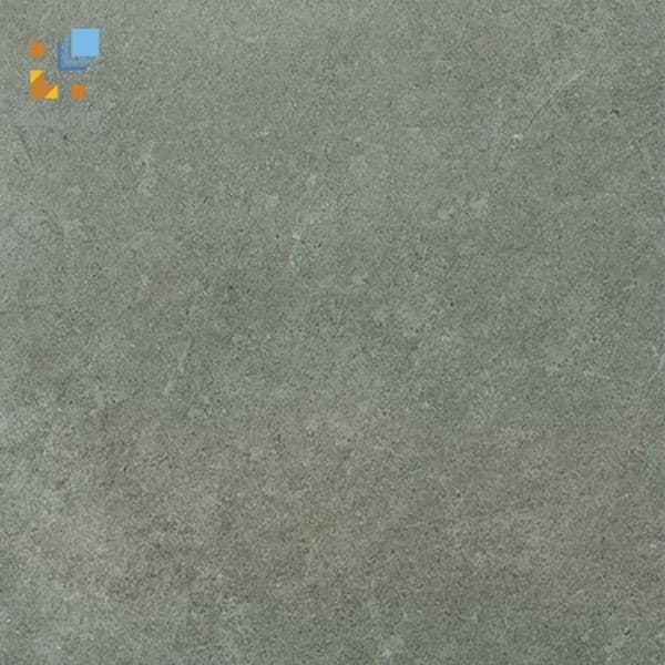 Gạch Viglacera Platinum PT 20-G203