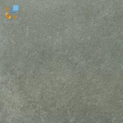 Ảnh Gạch Viglacera Platinum PT 20-G203 1