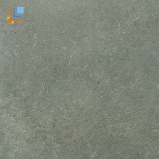Ảnh Gạch Viglacera Platinum PT 20-G203 1