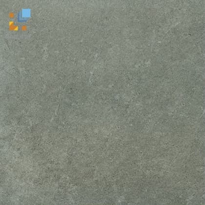 Gạch Viglacera Platinum PT 20-G203