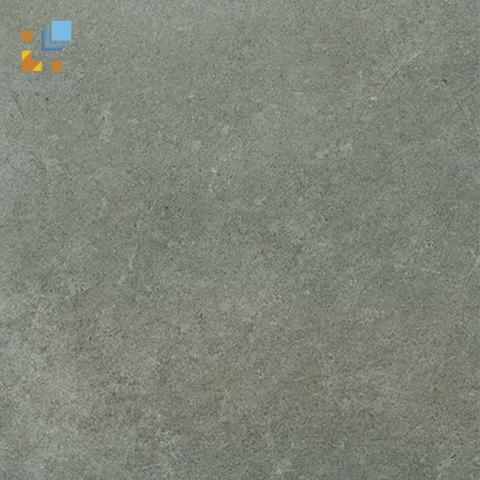 Gạch Viglacera Platinum PT 20-G203