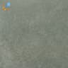 Gạch Viglacera Platinum PT 20-G203 1