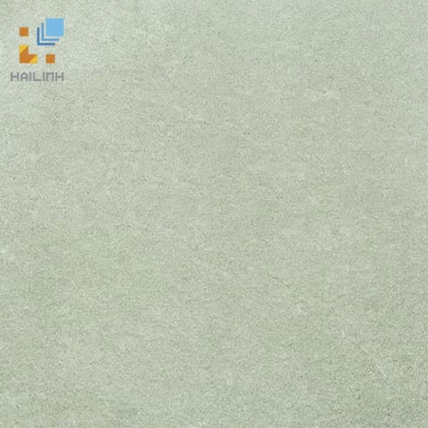 Gạch Viglacera Platinum PT 20-G600