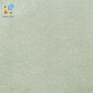 Ảnh Gạch Viglacera Platinum PT 20-G600 1