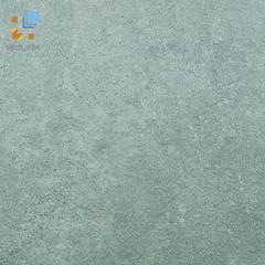 Ảnh Gạch Viglacera Platinum PT 20-G603 1