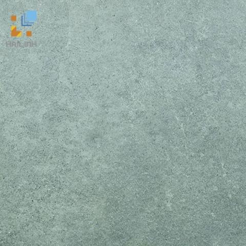 Gạch Viglacera Platinum PT 20-G603