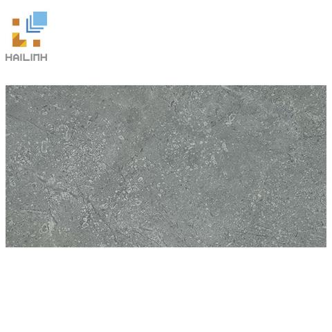 Gạch Viglacera SH-CE3602