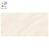 Gạch Viglacera SH-GP4803 1