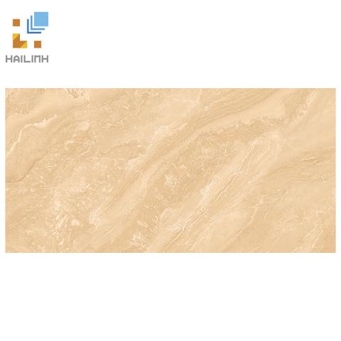 Gạch Viglacera SH-GP4804