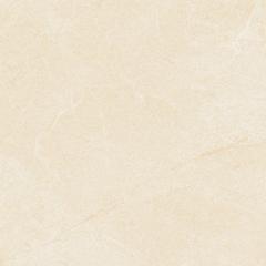 Ảnh Gạch Viglacera CL4-GP4805 1