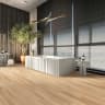 Gạch Viglacera AZ14 GC15904 1