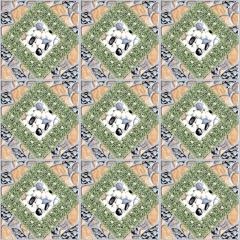 Ảnh Gạch Viglacera BS604 2