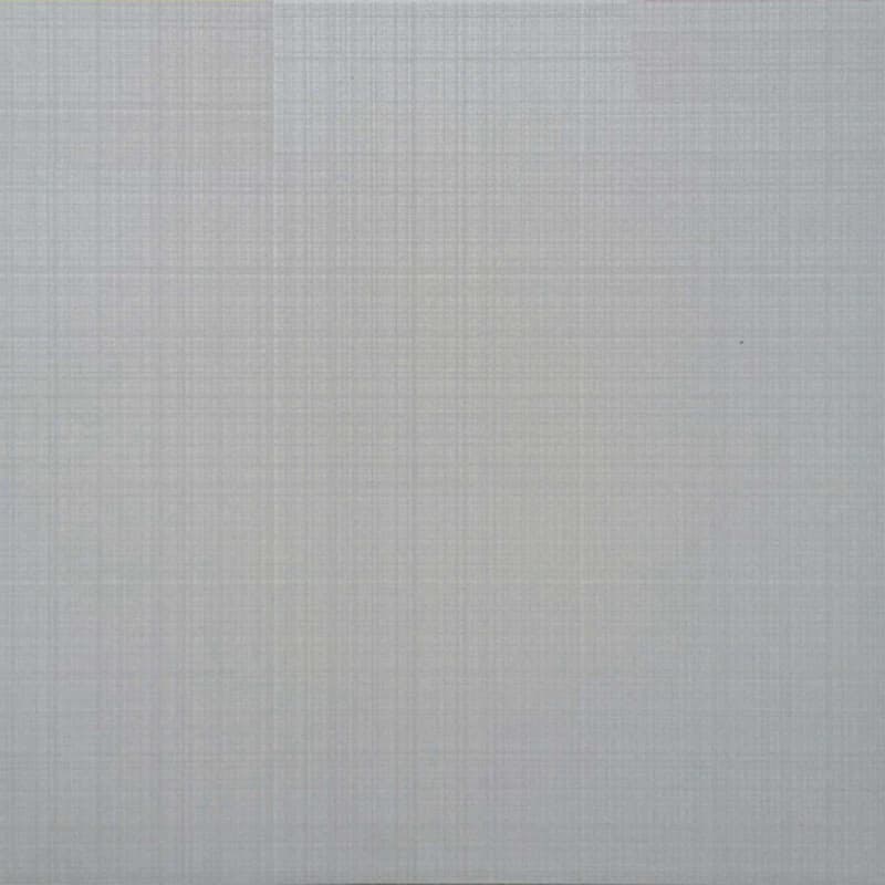 Gạch Viglacera N3007