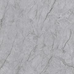 Gạch Viglacera PR3003